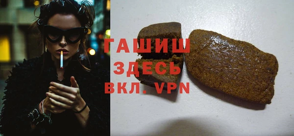 хмурый Магас